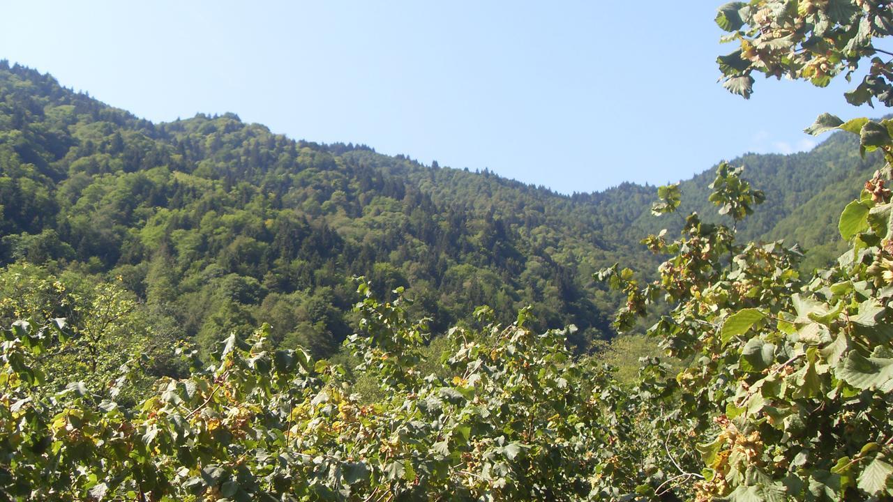 Atakoey Apart Caykara 外观 照片